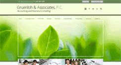 Desktop Screenshot of gruenlohcpa.com